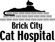 Brick City Cat Hospital Logo