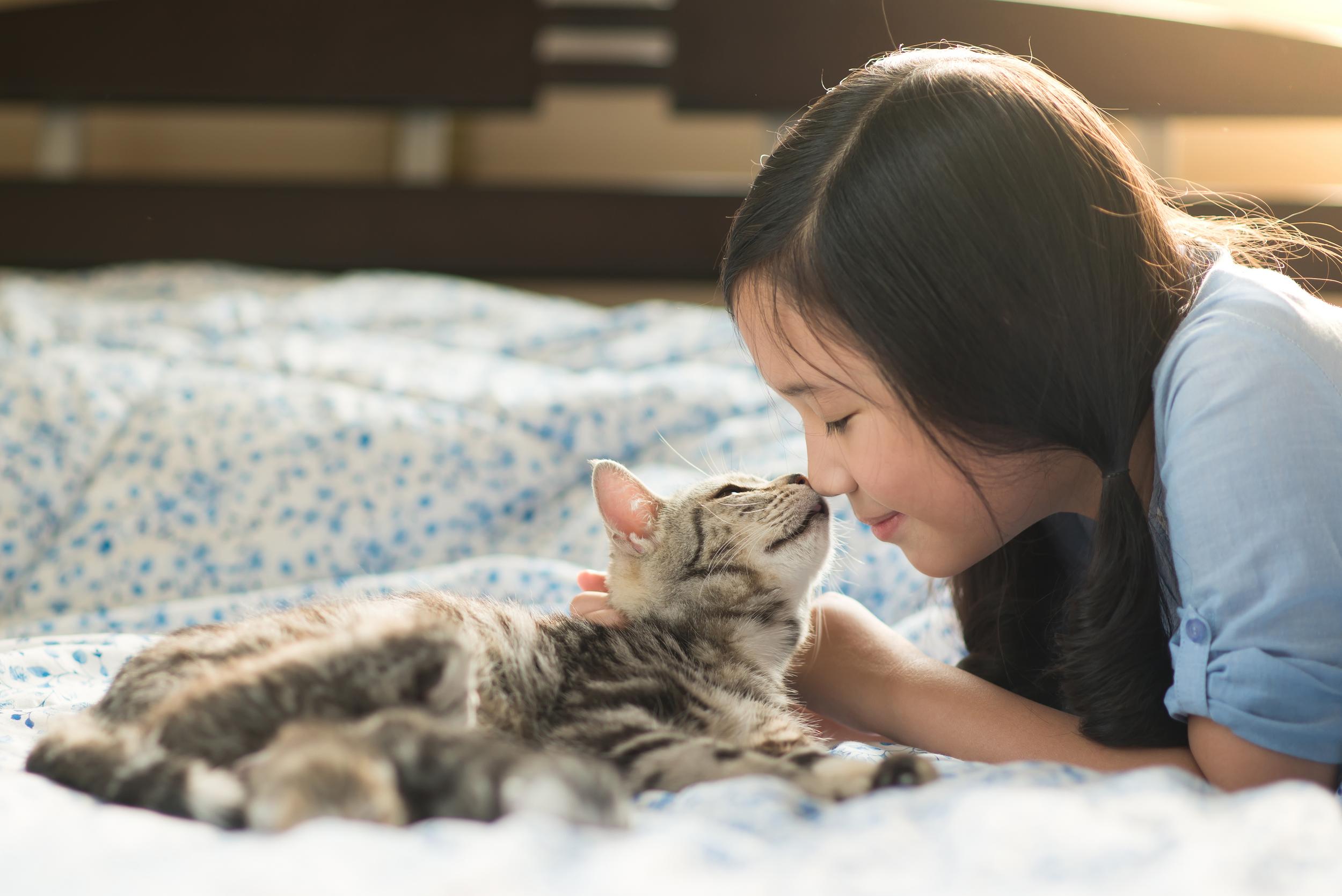 Young Person Nose to Nose with Brown Cat