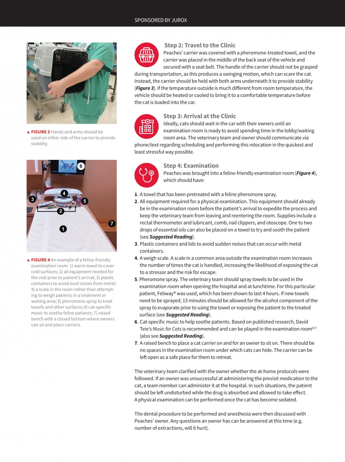 Part 1 Feline Anesthesia: A Comprehensive Protocol Starts at Home