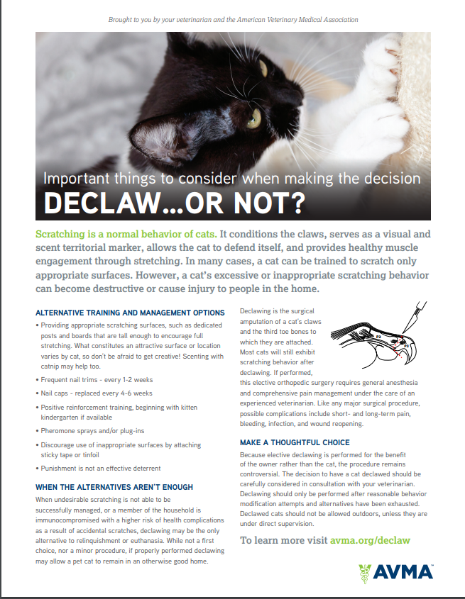 AVMA Handout - Declaw...Or Not?