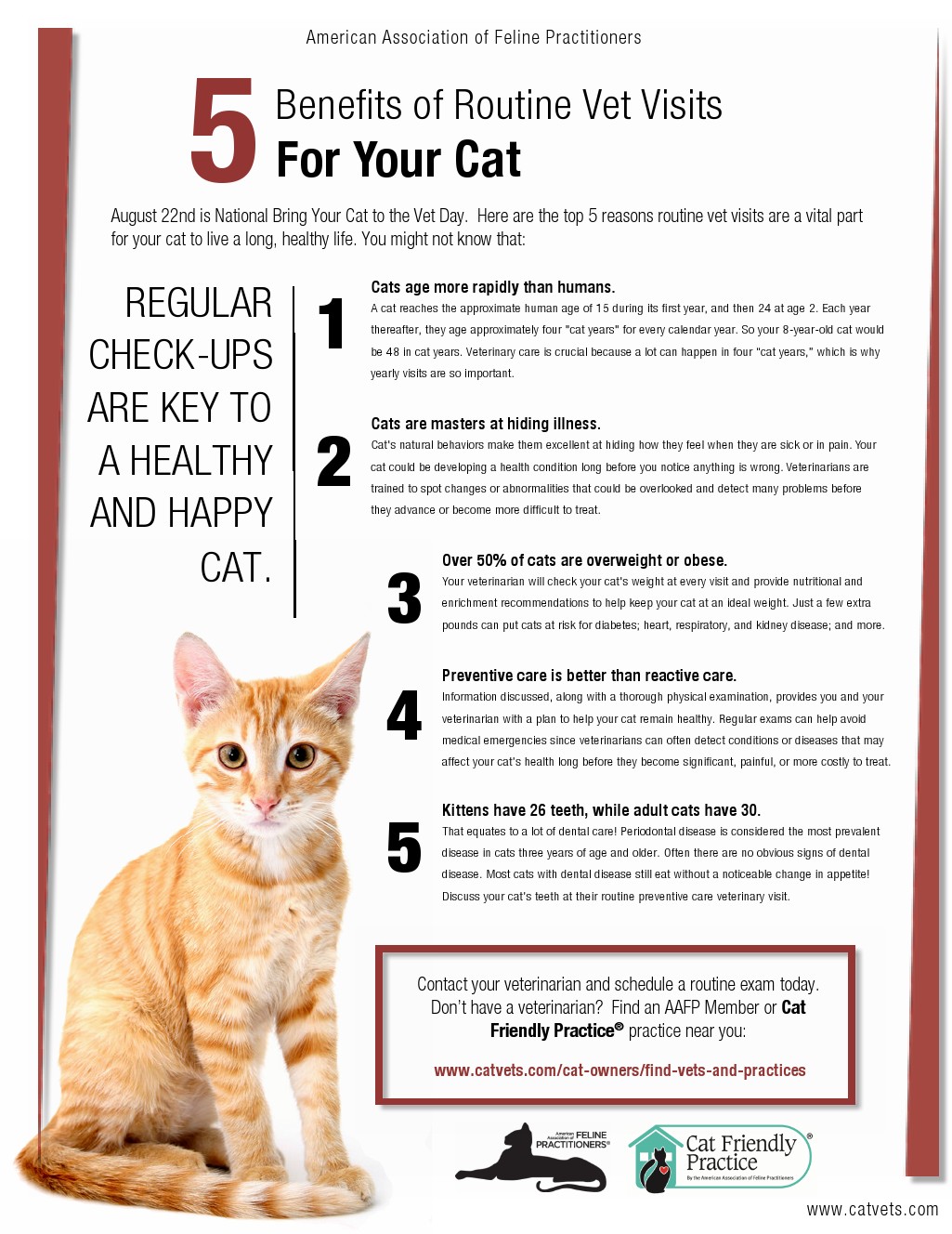 5 Benefits of Routine Vet Visits For Your Cat