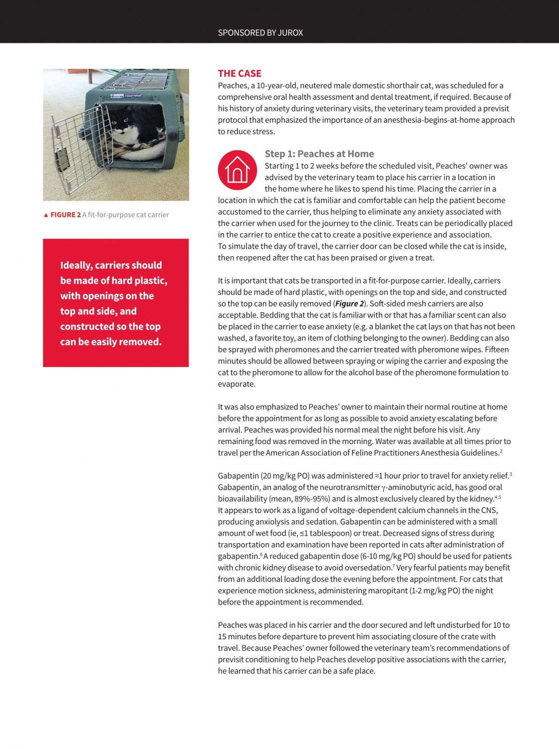 Part 1 Feline Anesthesia: A Comprehensive Protocol Starts at Home