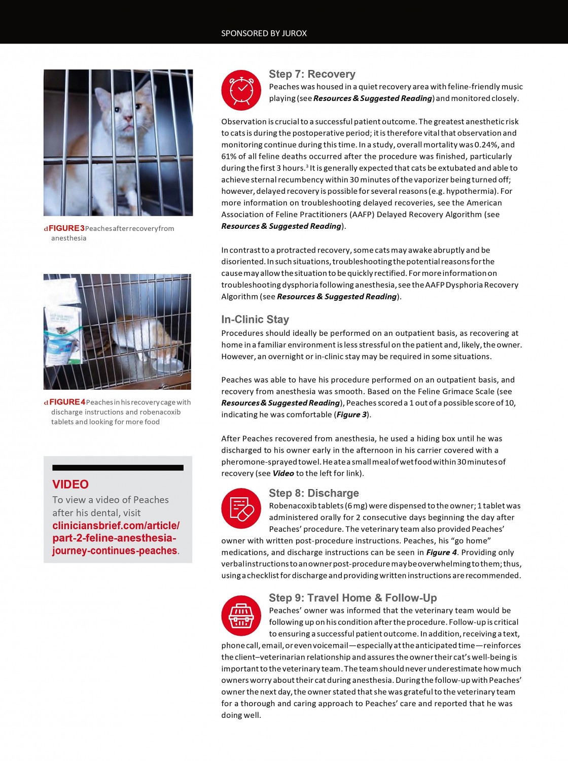 Part 2 Feline Anesthesia: A Comprehensive Protocol Starts at Home