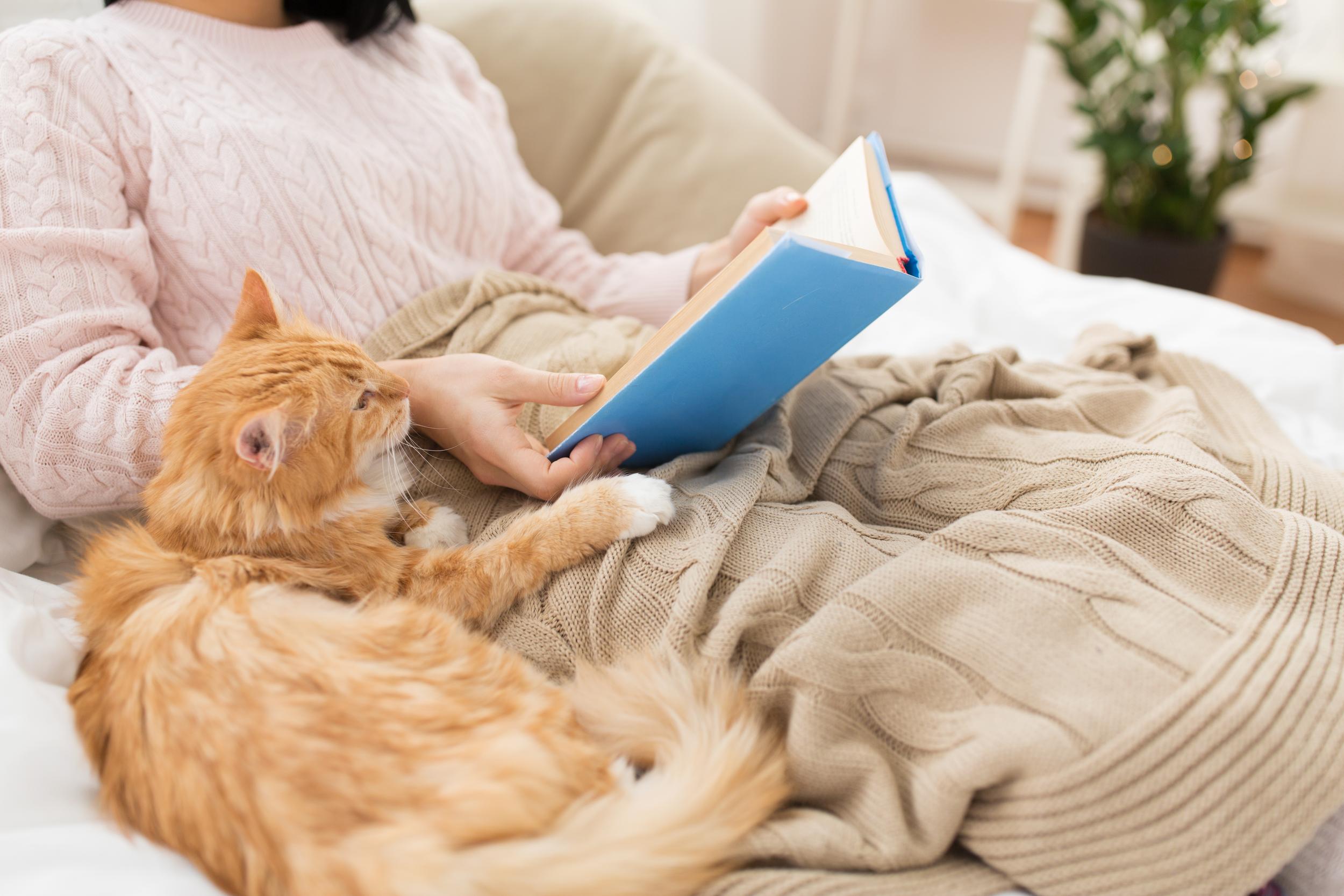 Person Snuggled with Orange Cat While Reading