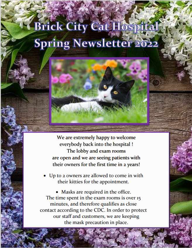 spring newsletter